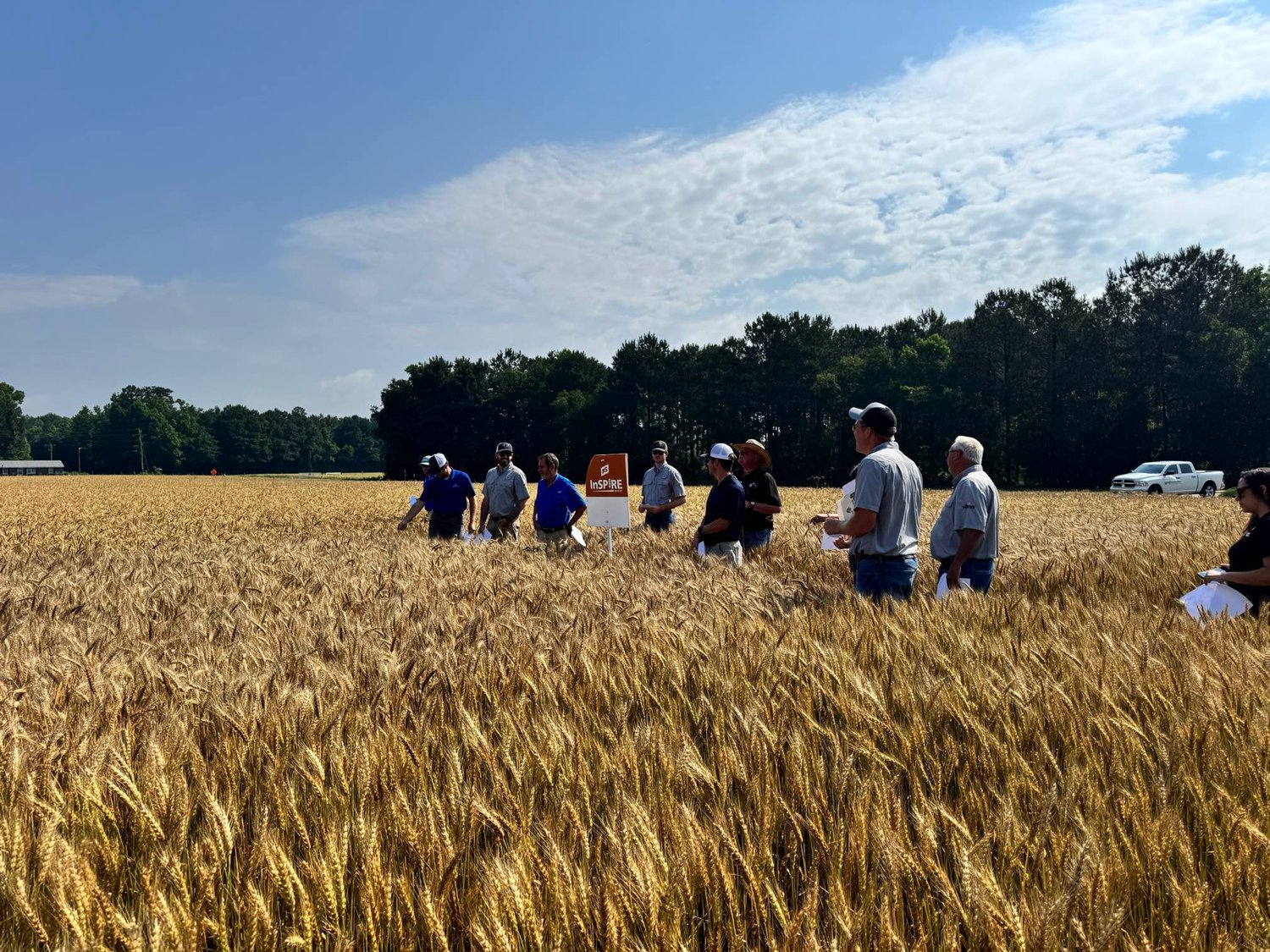 Southern States Cooperative team in a wheat field at a regional showcase