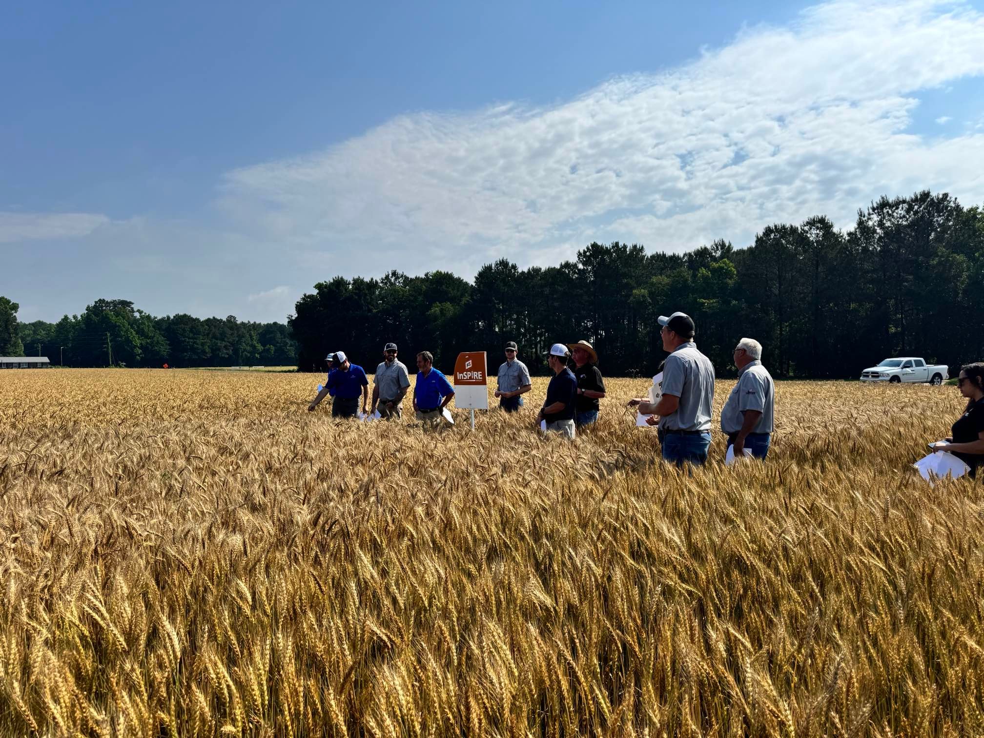 Southern States Cooperative team in a wheat field at a regional showcase